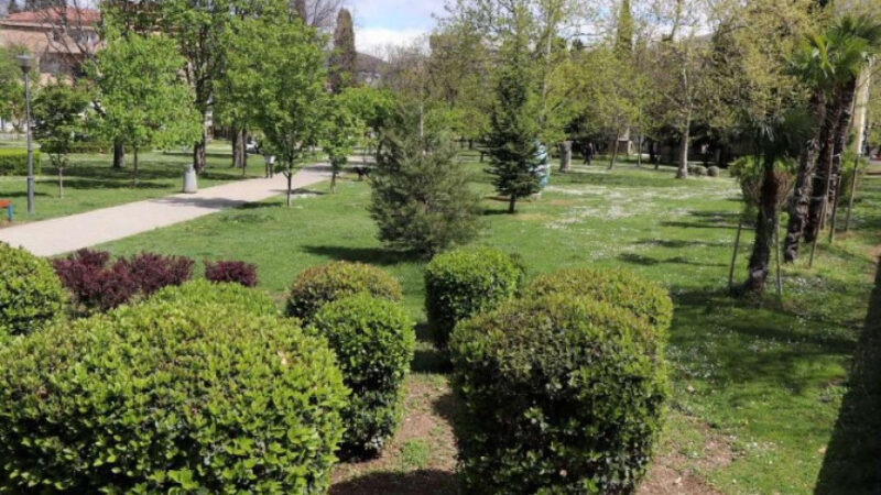 Evidentirano povećanje polena trava i pojava polena korova u Sarajevu