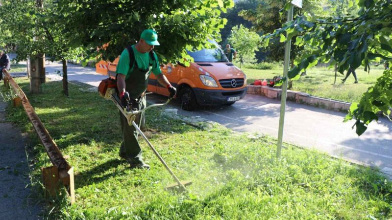 Počela velika akcija čišćenja Starog Grada