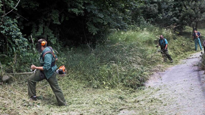 Počelo košenje trave i uređenje Spomen parka Vraca