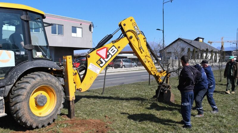 Uklonjena stabla voćki sa trase buduće tramvajske pruge Ilidža – Hrasnica