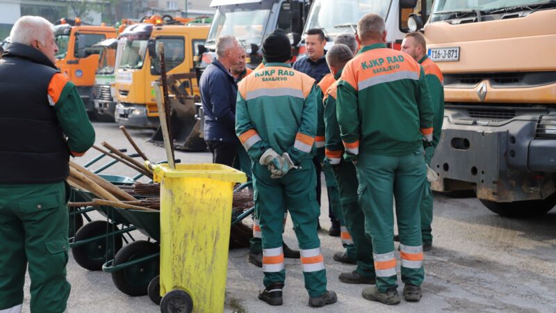 Iz KJKP Rad pozivaju građane da prijave ostatke uginulih životinja na javnim površinama