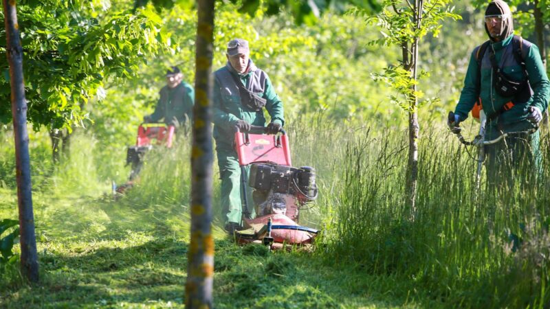 Počela proljetna akcija čišćenja opštine Vogošća
