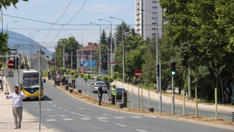 Blizu 100 novih stabala zasađeno duž Bulevara Ivice Osima na Grbavici