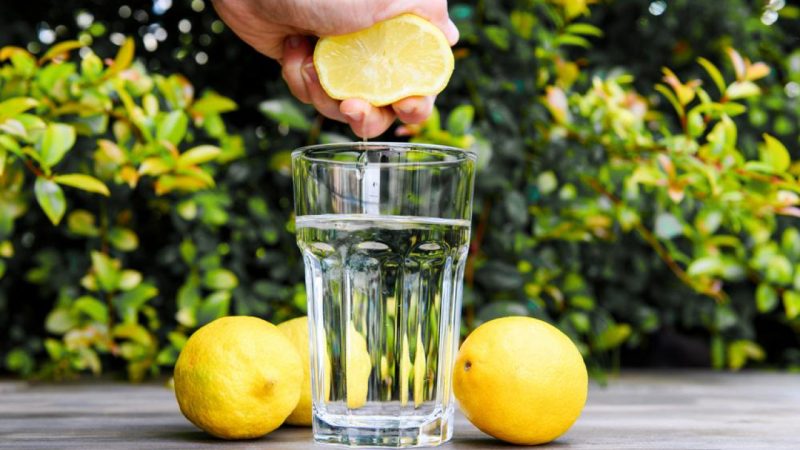Tri najbolja jutarnja napitka koja poboljšavaju metabolizam i zdravlje crijeva